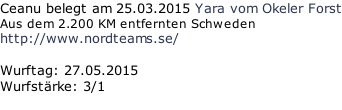 Ceanu belegt am 25.03.2015 Yara vom Okeler Forst Aus dem 2.200 KM entfernten Schweden http://www.nordteams.se/  Wurftag: 27.05.2015 Wurfstärke: 3/1