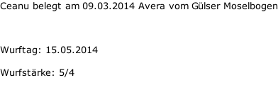 Ceanu belegt am 09.03.2014 Avera vom Gülser Moselbogen    Wurftag: 15.05.2014  Wurfstärke: 5/4
