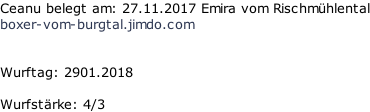 Ceanu belegt am: 27.11.2017 Emira vom Rischmühlental boxer-vom-burgtal.jimdo.com   Wurftag: 2901.2018   Wurfstärke: 4/3