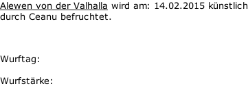 Alewen von der Valhalla wird am: 14.02.2015 künstlich durch Ceanu befruchtet.    Wurftag:    Wurfstärke:
